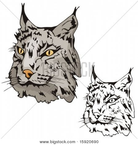 Vektor illustration af en kat.