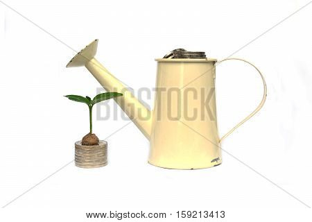 coin in watering on white background.concept save money