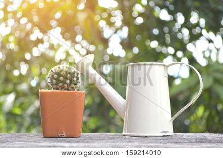 Little beautiful cactus with watering on wood background hipster tone and soft focus