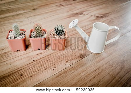 Little beautiful cactus with watering on wood background hipster tone and soft focus