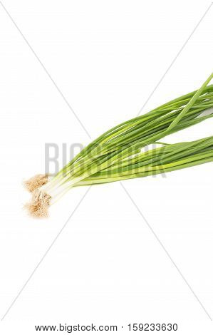 Green Onions Pen On The White Background