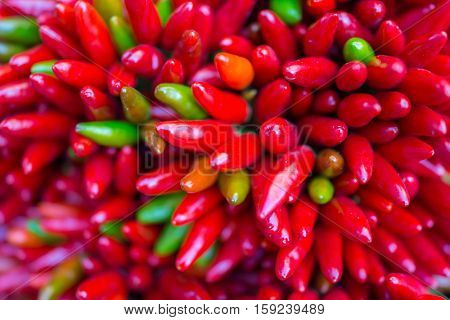 Red hot chilly pepers closeup background