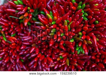 Red hot chilly pepers closeup background