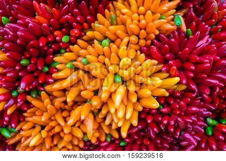 Red hot chilly pepers closeup background