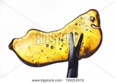 A piece of cannabis oil concentrate aka shatter held on a tool isolated on white background