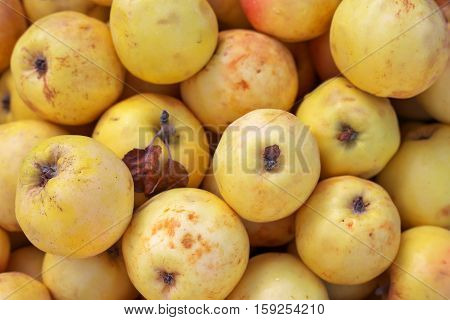 Background of ripe slightly spoiled colorful apples. Apples on the market