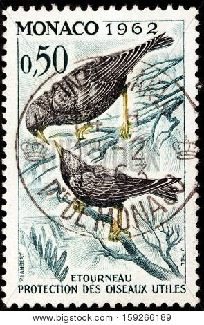 LUGA RUSSIA - NOVEMBER 29 2016: A stamp printed by MONACO shows common starling (Sturnus vulgaris) or European starling - medium-sized passerine bird in starling family Sturnidae circa 1962