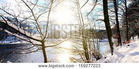 Frosty trees in the winter scenery . Winter landscape of frozen trees and lake.