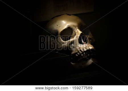spotlight Shines on skull in dark room