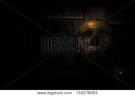 spotlight Shines on skull in dark room