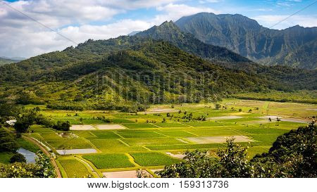 Panoramic Landscape View Of Hanalei Valley And Green Taro Fields, Kauai