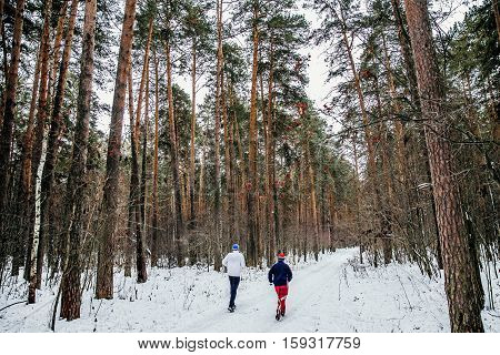 twq athlete runner running a marathon winter on a snowy trail in pine forest