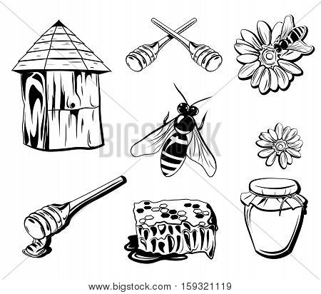 Honey Isolated Elements Cocept. Bee, Jar, Flower Vector illustration