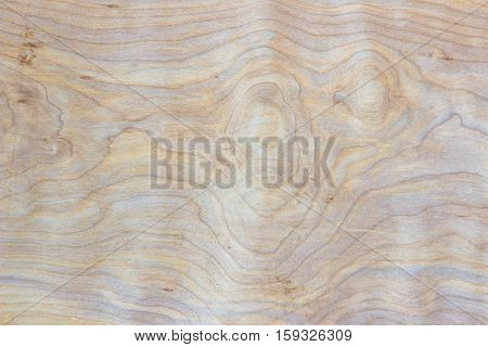 Real Natural Wood Texture wood background texture.architecture backdrop board color light vintage wall white wooden floor paint grunge backdrop pattern board rough rustic christmas.
