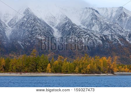 Coast with autumn forest on mountains background closeup