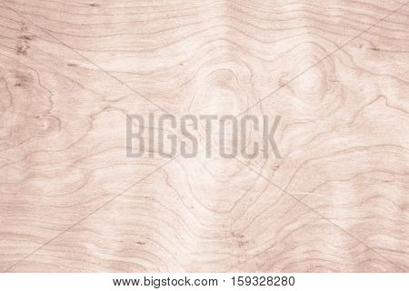 Real Natural Wood Texture wood background texture.architecture backdrop board color light vintage wall white wooden floor paint grunge backdrop pattern board rough rustic christmas.