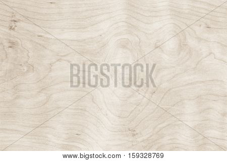 Real Natural Wood Texture wood background texture.architecture backdrop board color light vintage wall white wooden floor paint grunge backdrop pattern board rough rustic christmas.