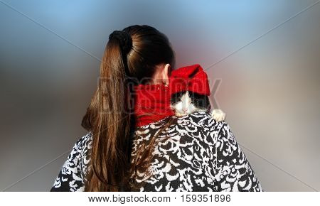 The girl in the red scarf.     Winter day.
Cat in red cap