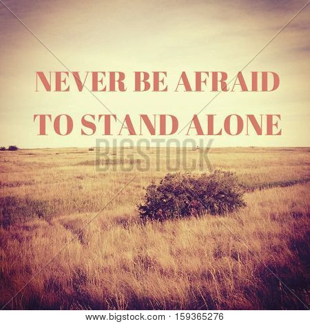 Inspirational image.  Never be afraid to stand alone. Isolated bush in prairie field with motivational quote.  Inspirational quote on prairie field landscape.  Instagram effects.