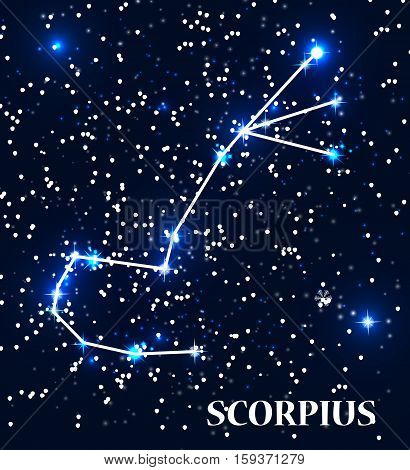 Symbol Scorpius Zodiac Sign. Vector Illustration. EPS10
