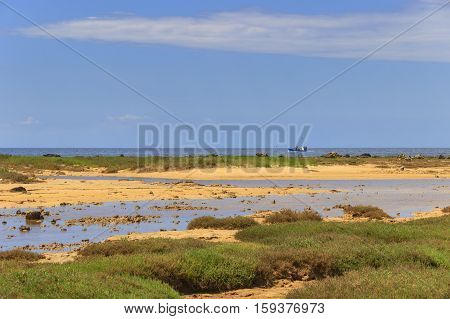Salento beach with sandy coves and cliffs, Apulia,Italy. From Torre Pali to Pescoluse the shore is made of a so fine white sand and vashed by a so clear sea that it is called 'Maldive
