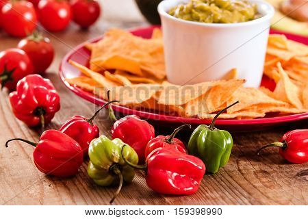 Guacamole and nacho chips on white bowl.