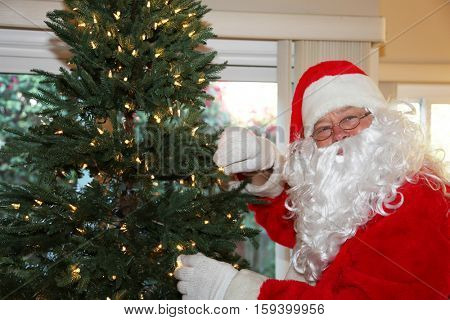 Santa Claus prepares a Christmas Tree with Lights and ornaments for Christmas at a persons house. Santa Loves xmas. x-masTree.   Santa Claus setting.