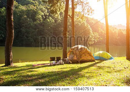Sun rise at Pang-ung Pine forest in Thailand select and soft focus