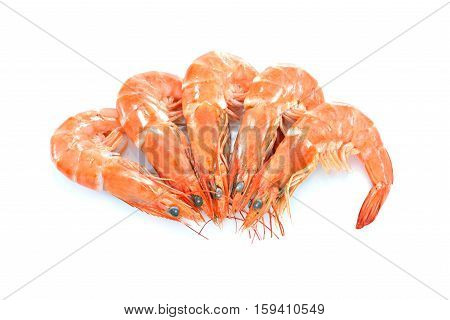 Cooked shrimps prawns isolated on white background