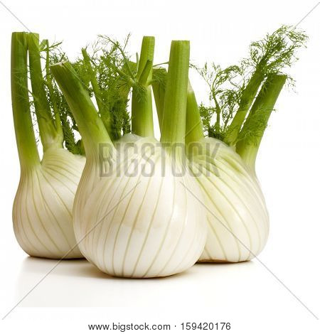 Fresh fennel bulb isolated on white background close up