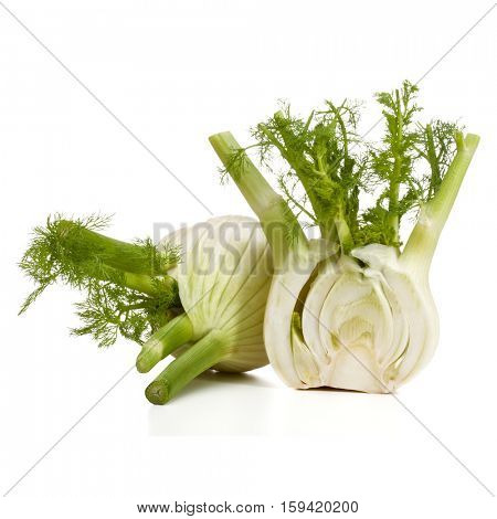 Fresh fennel bulb isolated on white background close up