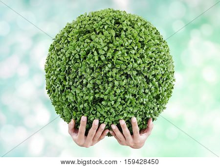 Hands holding circle green shrubs on blue sky and grass background. Beautiful landscape of blurred scene summer ocean beach. World Conservation concept.