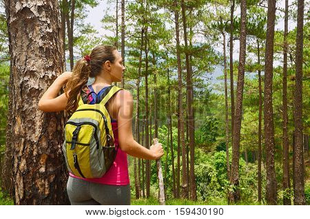 Young womanhiker walking in beautiful lush pine forest nature landscape in mountains. Woman hiker wearing backpack looking at scenic pines.