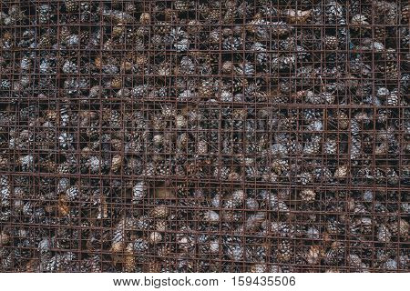 large wall of pine cones in a metal grid