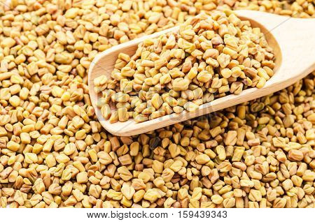 wooden scoop with fenugreek seeds fenugreek seeds background