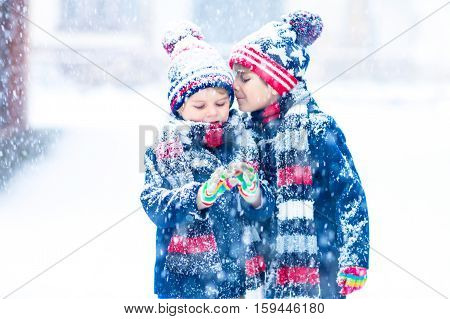 Two little kid boys in colorful clothes playing outdoors during snowfall. Active  leisure with children in winter on cold days. Happy siblings and twins having fun with snow