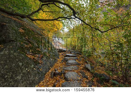 Stara reka Reserve in the autumn, Stara planina mountain, Bulgaria