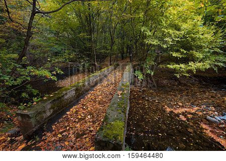Stara reka Reserve in the autumn, Stara planina mountain, Bulgaria