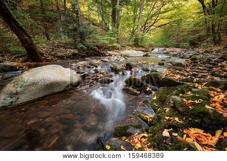 Stara reka Reserve in the autumn, Stara planina mountain, Bulgaria