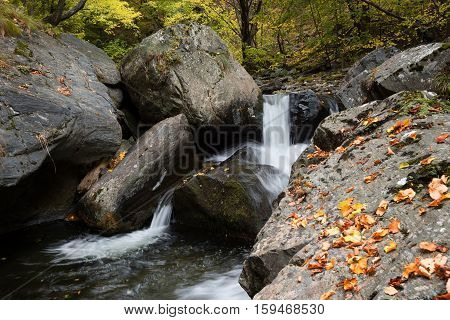 Stara reka Reserve in the autumn, Stara planina mountain, Bulgaria