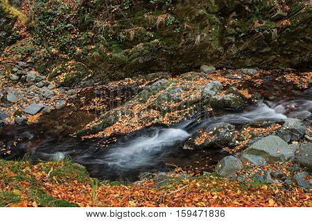 Stara reka Reserve in the autumn, Stara planina mountain, Bulgaria