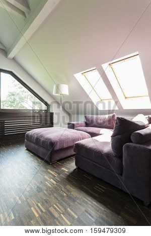 Purple Sofa In Attic Lounge Room