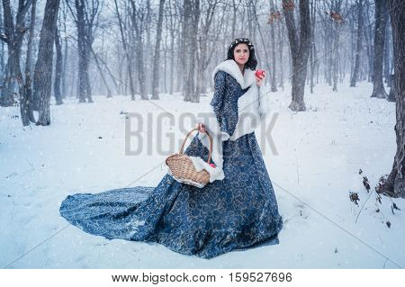 Portrait of young woman dressed in blue coat. She is walking in the winter forest holding a basket with apples