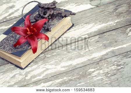 red Lily (disambiguation) book and keys on wooden desk with copy space