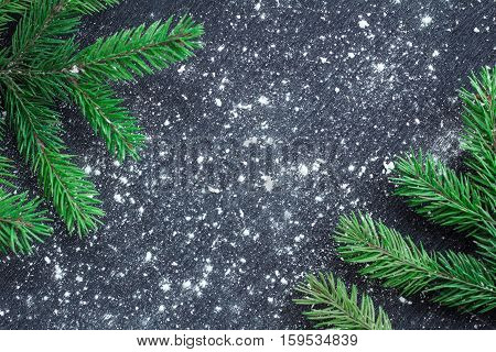 Green Christmas Tree Branches On Winter Snowbound Black Space Background
