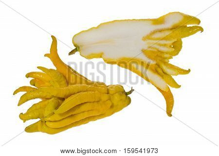 Composite of Buddha's hand fruit also known as Fingered Citron. One whole and one sliced in half against a white background.