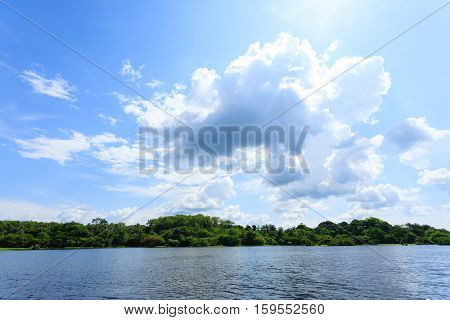 Panorama From Amazon Rainforest, Brazilian Wetland Region.