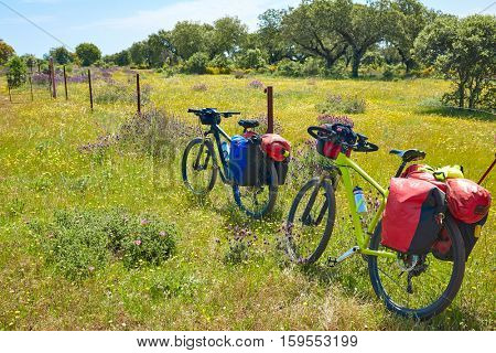 Via de la Plata way to Santiago by bike in Spain at Extremadura