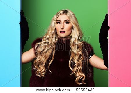 Fashionable Sexy Woman In Fur