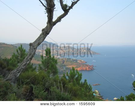 บริการชายฝั่งกับต้นสนในเบื้องหน้า ฝา Esterel ฝั่งซูร์ ทางใต้ของฝรั่งเศส